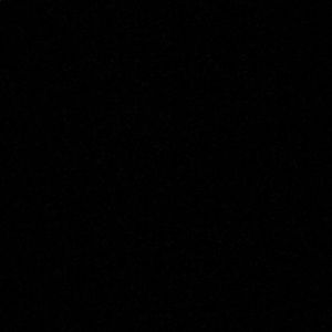 Meet your Posher, Randi